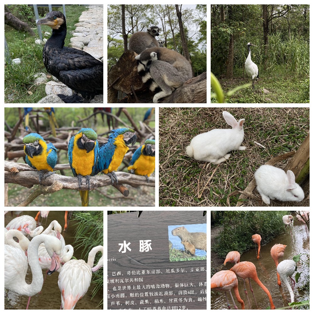 厚積薄發(fā)，蓄力前行：大手牽小手，共圓實(shí)佳夢(mèng)